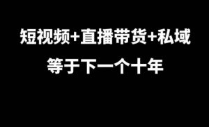 短视频+直播带货+私域等于下一个十年,大佬7年实战经验总结|淘骐网赚资源库