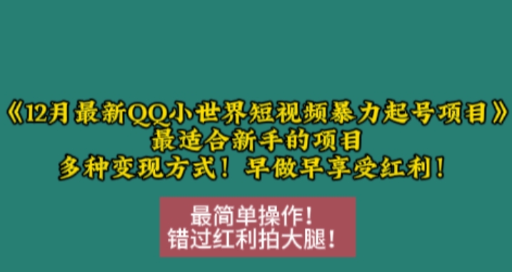12月最新QQ小世界短视频暴力起号项目,最适合新手的项目,多种变现方式|淘骐网赚资源库