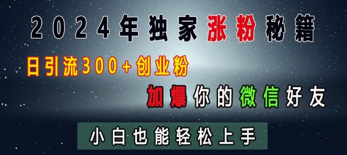 2024年独家涨粉秘籍,日引流300+创业粉,加爆你的微信好友,小白也能轻松上手|淘骐网赚资源库