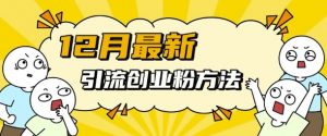 12月最新引流创业粉方法,方法非常简单,适用于多平台|淘骐网赚资源库