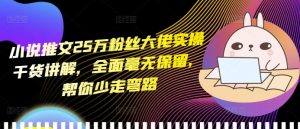 小说推文25万粉丝大佬实操干货讲解，全面毫无保留，帮你少走弯路|淘骐网赚资源库