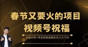 春节又要火的项目视频号祝福,分成计划+带货双收益,轻松月入几个W【揭秘】|淘骐网赚资源库