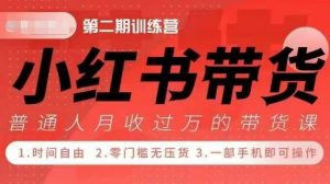 小Red书带货42天训练营 2.0版,宝妈+自由职+上班族+大学生,提高副业收入的大红利项目|淘骐网赚资源库