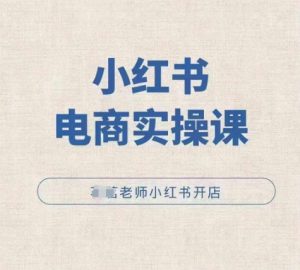 小红薯电商实操课，小红书开店实操必学课|淘骐网赚资源库