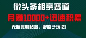 微头条相亲赛道，迅速积累，无脑复制粘贴，野路子玩法，月入1w|淘骐网赚资源库