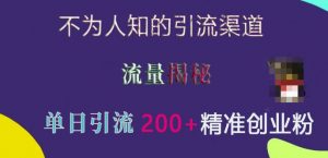 不为人知的引流渠道,流量揭秘,实测单日引流200+精准创业粉【揭秘】|淘骐网赚资源库