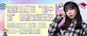 最新小红书截流玩法 独家截中截 单号成本几块钱 日引500+CY粉JZ粉|淘骐网赚资源库