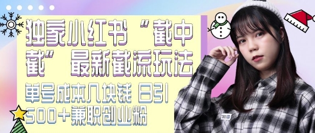 最新小红书截流玩法 独家截中截 单号成本几块钱 日引500+CY粉JZ粉|淘骐网赚资源库