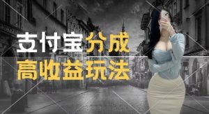 支付宝分成计划新玩法，利用交通事故视频，赚收益，轻松月入过W，操作简单【揭秘】|淘骐网赚资源库