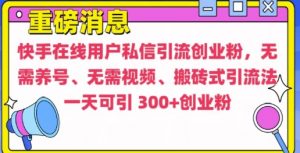 快手最新引流创业粉方法，无需养号、无需视频、搬砖式引流法【揭秘】|淘骐网赚资源库