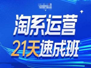 淘系运营21天速成班第34期-搜索最新玩法和25年搜索趋势|淘骐网赚资源库