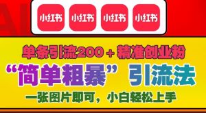 12月底小红书”简单粗暴“引流法,单条引流200+精准创业粉|淘骐网赚资源库