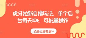 虎牙拉新自撸玩法，单个后台每天100+，可批量操作|淘骐网赚资源库