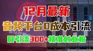 12月最新:音频平台0成本引流,日引流300+精准创业粉|淘骐网赚资源库