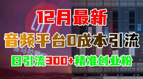 12月最新:音频平台0成本引流,日引流300+精准创业粉|淘骐网赚资源库