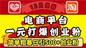 12月最新:电商平台1元打爆创业粉,简单粗暴日引500+精准创业粉,轻松月入过W【揭秘】|淘骐网赚资源库
