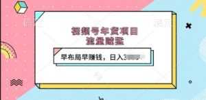 视频号年货项目,流量贼猛,早布局早挣钱,日入上k【揭秘】|淘骐网赚资源库