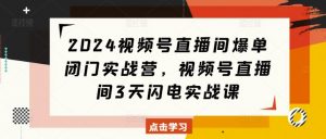 2024视频号直播间爆单闭门实战营,视频号直播间3天闪电实战课|淘骐网赚资源库