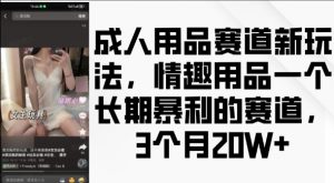 成人用品赛道新玩法,情趣用品一个长期暴利的赛道,3个月收益20个【揭秘】|淘骐网赚资源库