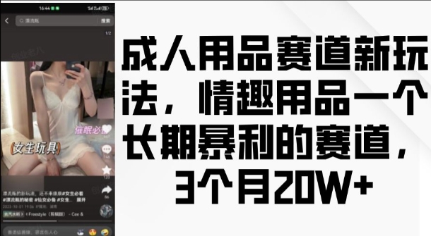 成人用品赛道新玩法,情趣用品一个长期暴利的赛道,3个月收益20个【揭秘】|淘骐网赚资源库