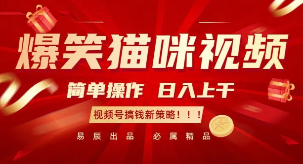 爆笑猫咪视频:简单操作,日入过K,视频号搞钱新策略【揭秘】|淘骐网赚资源库
