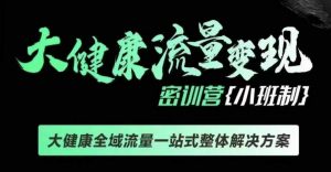 千万级大健康变现课线下课,大健康全域流量一站式整体解决方案|淘骐网赚资源库