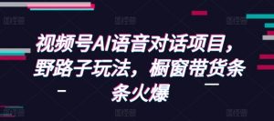 视频号AI语音对话项目,野路子玩法,橱窗带货条条火爆|淘骐网赚资源库