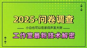 2025问卷调查最新工作室技术解密：一个人在家也可以闷声发大财，小白一天2张，可矩阵放大【揭秘】|淘骐网赚资源库