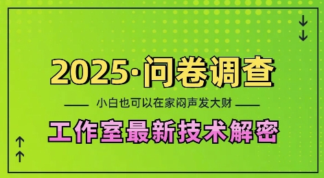 2025问卷调查最新工作室技术解密：一个人在家也可以闷声发大财，小白一天2张，可矩阵放大【揭秘】|淘骐网赚资源库