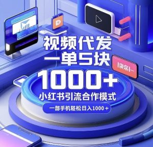 视频代发，一单5块，小红书引流合作模式，一部手机轻松日入多张【揭秘】|淘骐网赚资源库