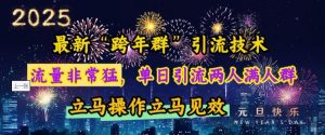 最新“跨年群”引流,流量非常猛,单日引流两人满人群,立马操作立马见效【揭秘】|淘骐网赚资源库