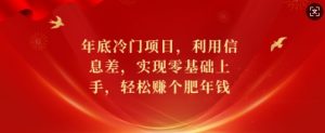 年底冷门项目，利用信息差，实现零基础上手，轻松赚个肥年钱【揭秘】|淘骐网赚资源库