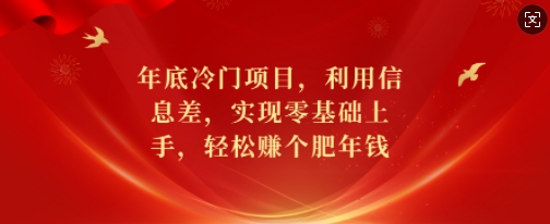 年底冷门项目,利用信息差,实现零基础上手,轻松赚个肥年钱【揭秘】|淘骐网赚资源库