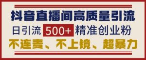 抖音直播间引流创业粉,无需连麦、不用上镜、超暴力,日引流500+高质量精准创业粉|淘骐网赚资源库