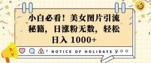 小白必看,美女图片引流秘籍,日涨粉无数,轻松日入几张【揭秘】|淘骐网赚资源库