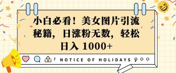 小白必看,美女图片引流秘籍,日涨粉无数,轻松日入几张【揭秘】|淘骐网赚资源库