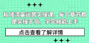 私域流量运营实操课,每个章节都是实操干货,学完就能上手|淘骐网赚资源库