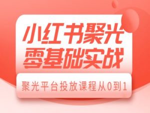 小红书聚光零基础实战,聚光平台投放课程从0到1|淘骐网赚资源库