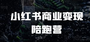 小红书商业变现陪跑营,小红书电商教程|淘骐网赚资源库