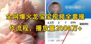 全网爆火龙宝宝视频全套操作流程,播放量2000万+|淘骐网赚资源库