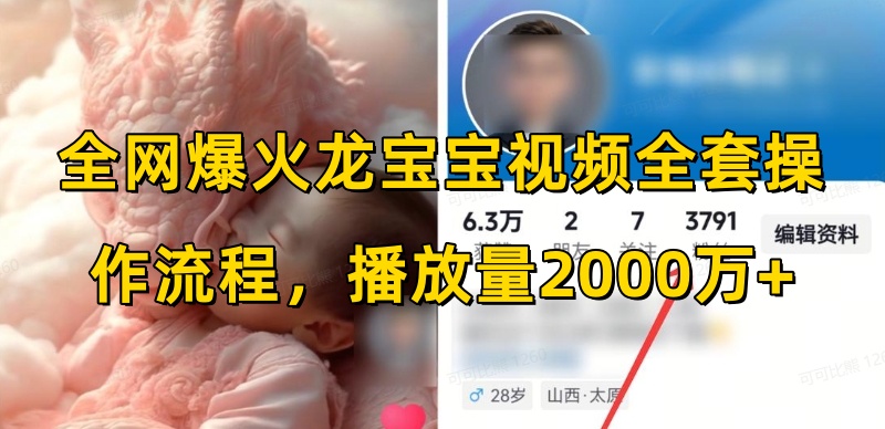 全网爆火龙宝宝视频全套操作流程,播放量2000万+|淘骐网赚资源库