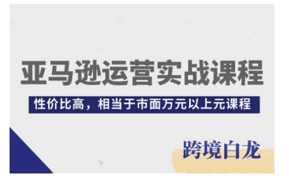 亚马逊运营实战课程,亚马逊从入门到精通,性价比高,相当于市面万元以上元课程|淘骐网赚资源库