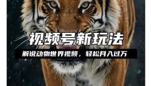 利用动物世界解说视频，赚分成计划收益，轻松月入过W，操作简单【揭秘】|淘骐网赚资源库