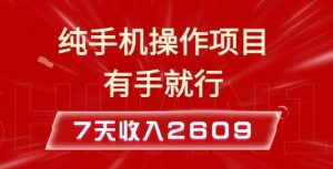 纯手机操作的小项目,有手就能做,7天收入2609+实操教程【揭秘】|淘骐网赚资源库