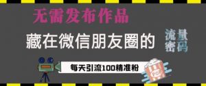 藏在微信朋友圈的流量密码，无需发布作品，单日引流100+精准创业粉【揭秘】|淘骐网赚资源库