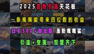 2025自热引流天花板，一条视频能带来四位数的收益，引流+变现双管齐下，日引500+创业粉，涨粉嘎嘎猛|淘骐网赚资源库