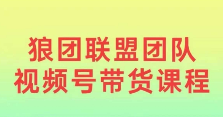 狼团联盟2024视频号带货,0基础小白快速入局视频号|淘骐网赚资源库