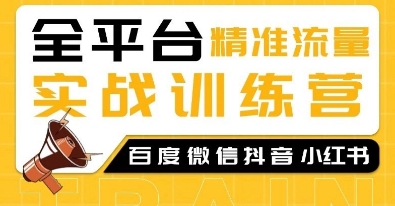 全平台精准流量实战训练营,百度微信抖音小红书SEO引流教程|淘骐网赚资源库
