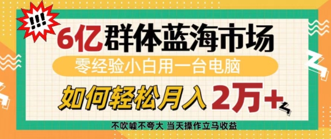 6亿群体蓝海市场,零经验小白用一台电脑,如何轻松月入过w【揭秘】|淘骐网赚资源库