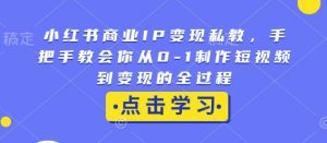 小红书商业IP变现私教,手把手教会你从0-1制作短视频到变现的全过程|淘骐网赚资源库
